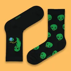  الین تا به تا